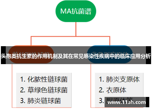 头孢类抗生素的作用机制及其在常见感染性疾病中的临床应用分析